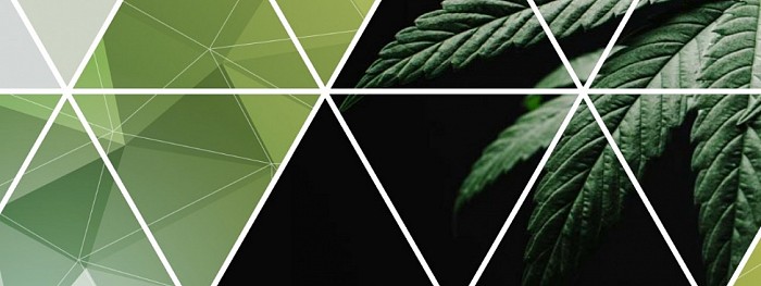 Canadees Framework